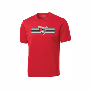 ATC™ YOUTH PRO TEAM SHORT SLEEVE TEE - STRIPES