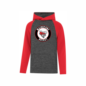 ATC YOUTH HEATHER TWO TONE HOODED SWEATSHIRT - Crest